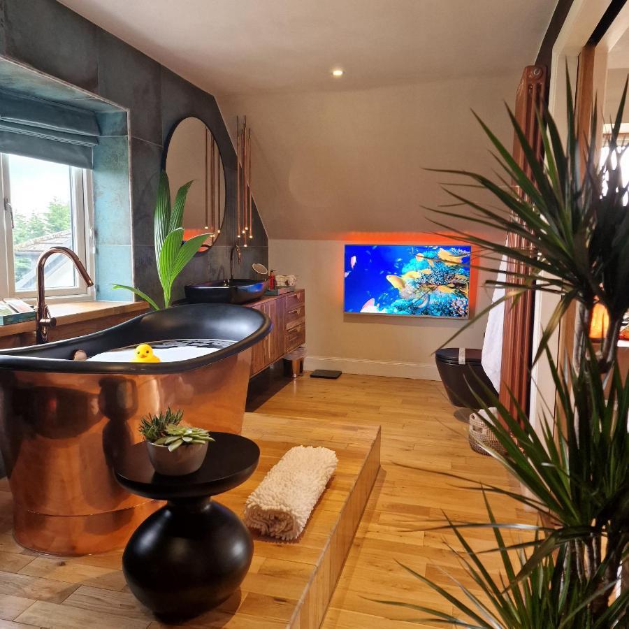 إيردري New Amazing The Black Wolf Suite The Grumpy Schnauzer B&B المظهر الخارجي الصورة